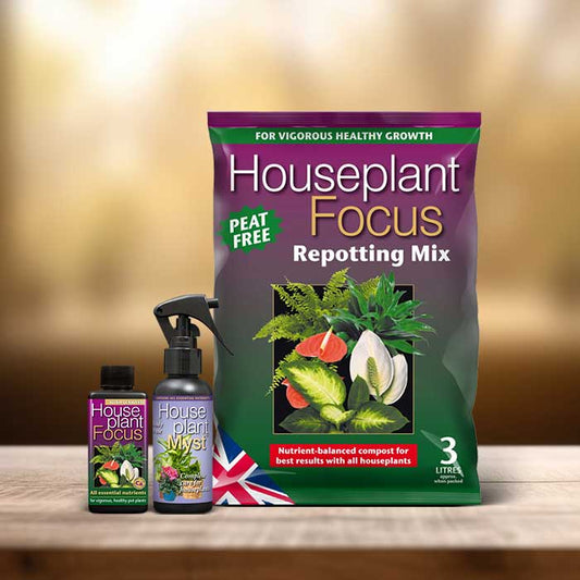 House Plant Care Kit