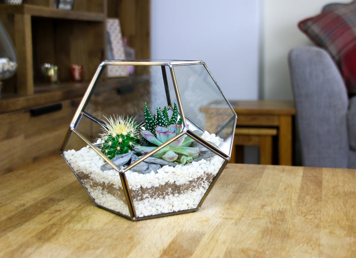The Geode  - Geometric Terrarium with Cactus & Succulent Mix