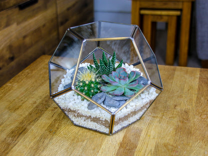 The Geode  - Geometric Terrarium with Cactus & Succulent Mix