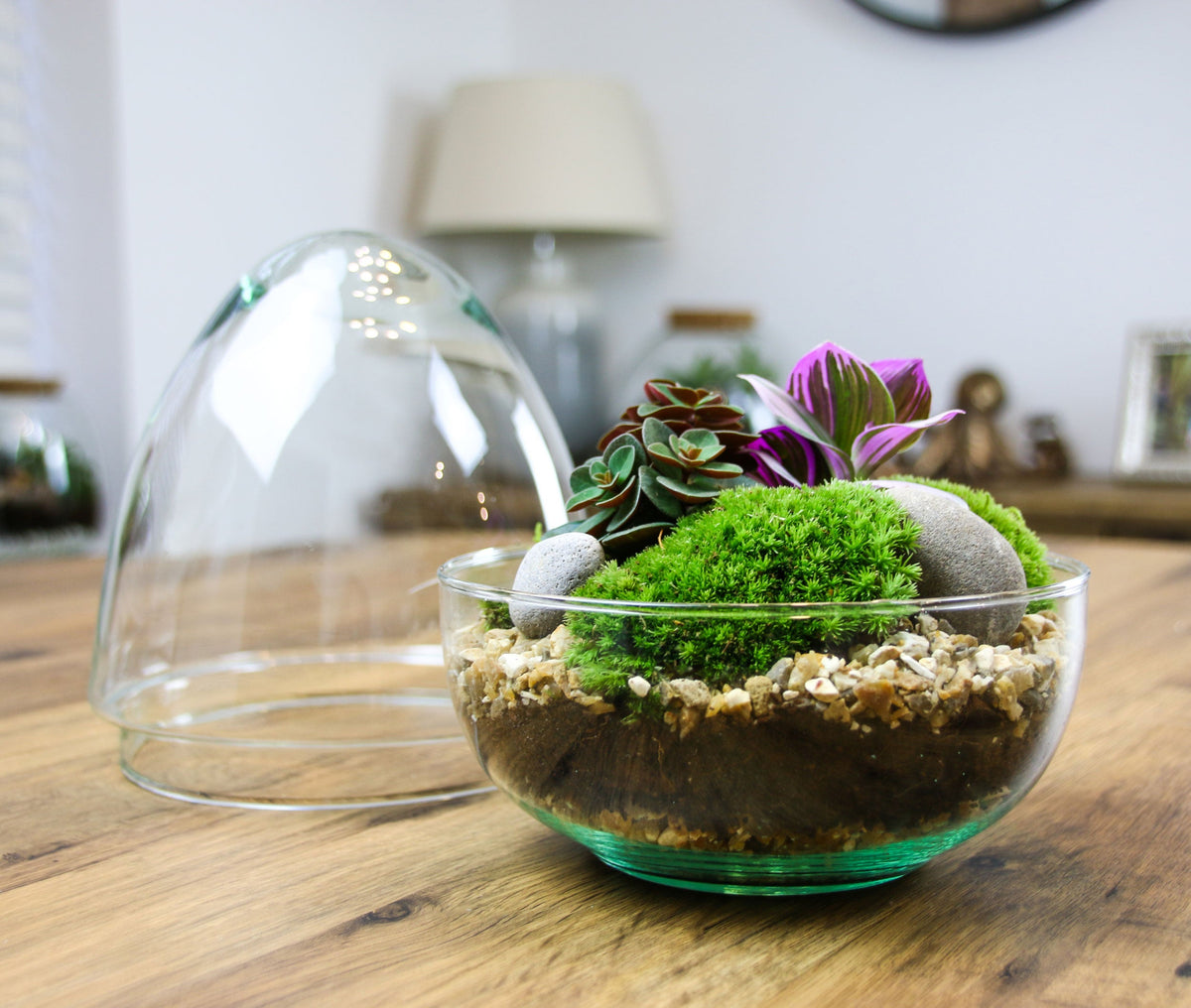 The Egg - All Glass Two Piece Terrarium with Living Plants