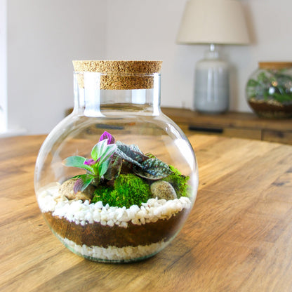 The Nook - Small Curvy Corked Terrarium