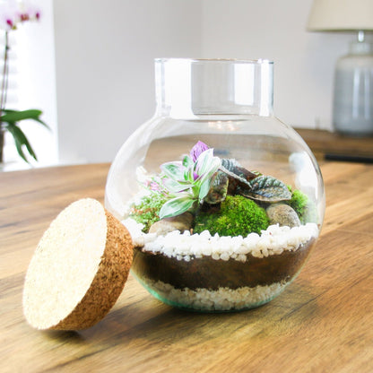 The Nook - Small Curvy Corked Terrarium