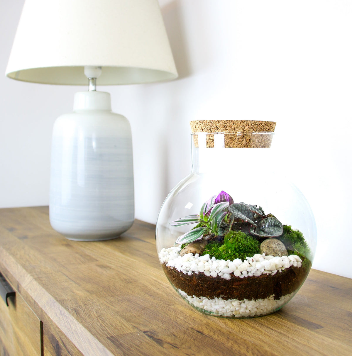 The Nook - Small Curvy Corked Terrarium