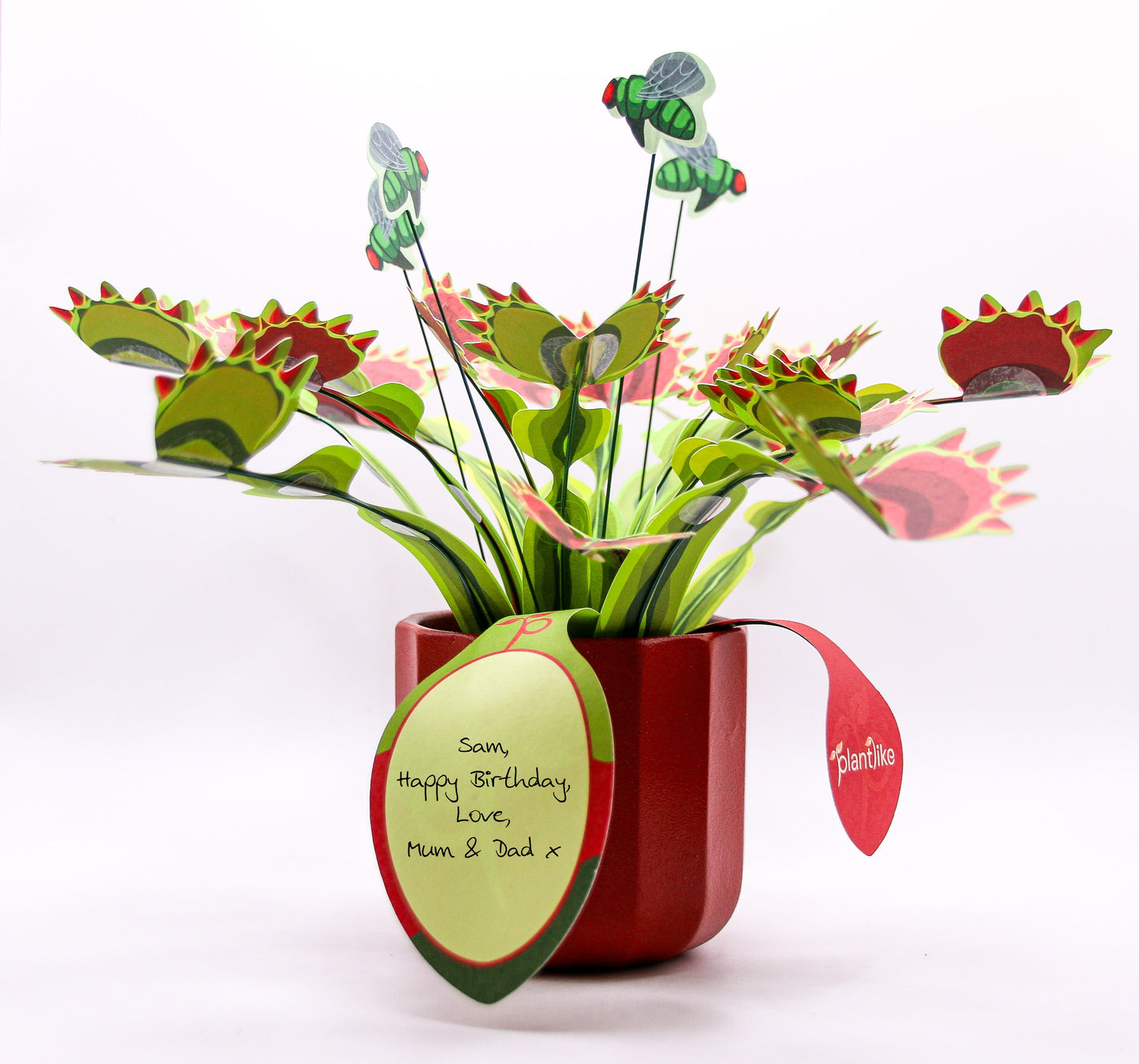 The Venus Fly Trap Artificial Botanical Craft Kit by Plantlike