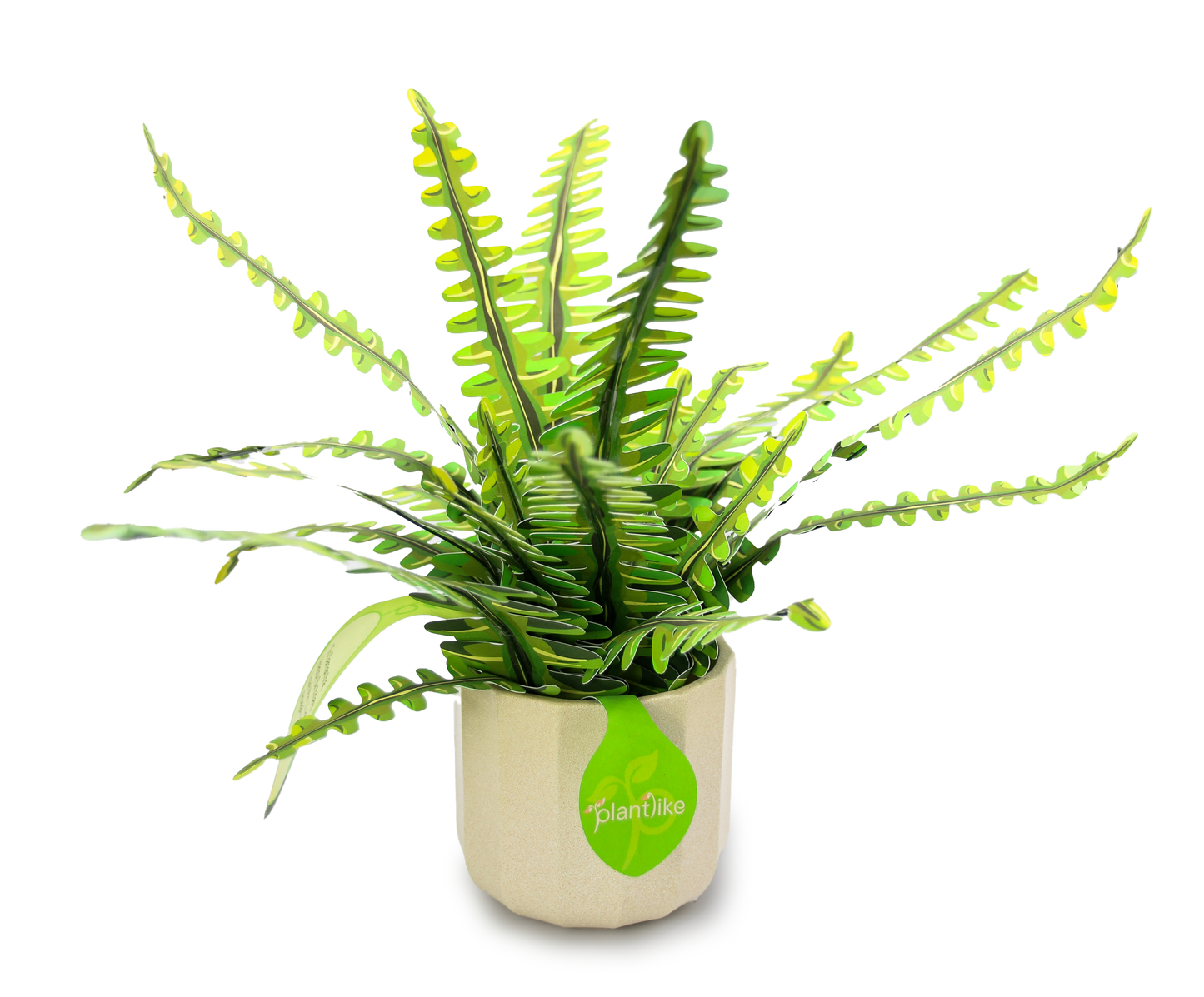 Artificial Boston Fern - Botanical Craft Kit by Plantlike