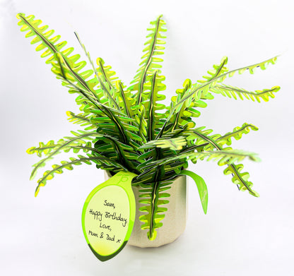 Artificial Boston Fern - Botanical Craft Kit by Plantlike