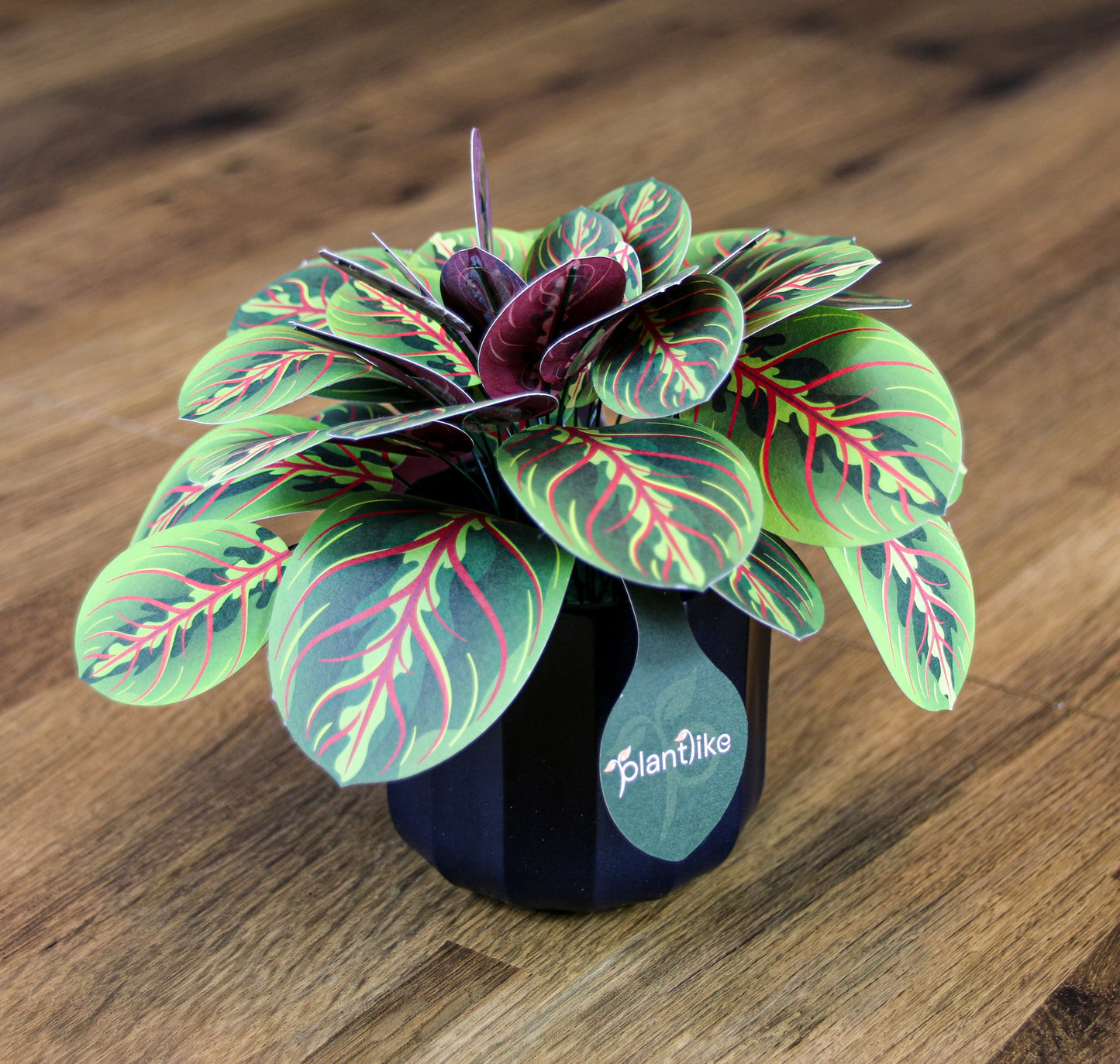 Artificial Prayer Plant — Botanical Craft Kit by Plantlike