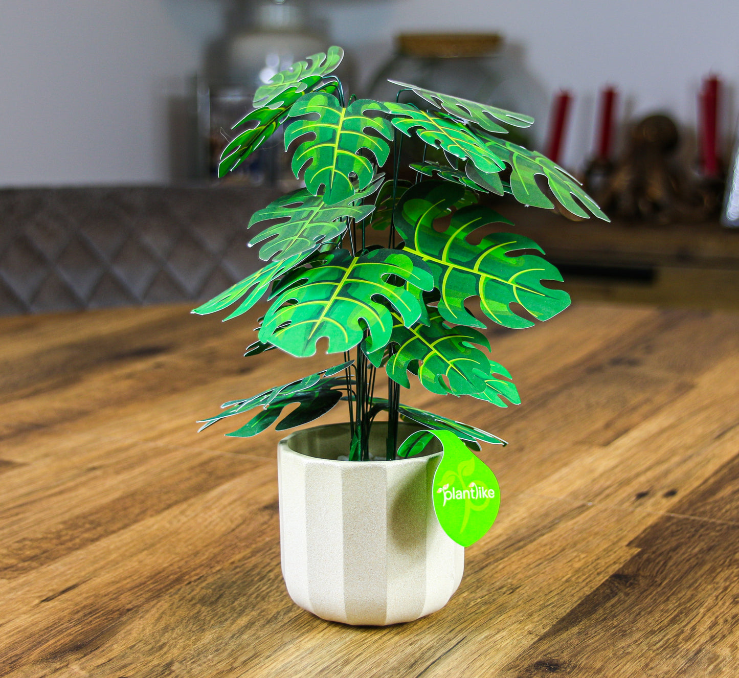 Monstera Deliciosa Cheese Plant Botanical Craft Kit by Plantlike