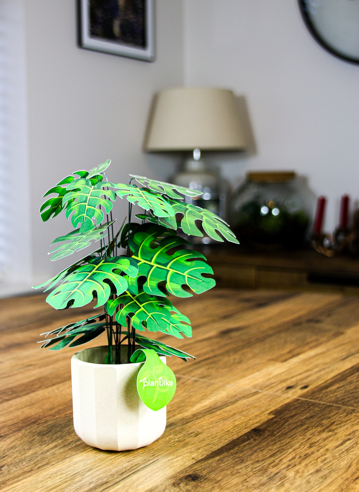Monstera Deliciosa Cheese Plant Botanical Craft Kit by Plantlike