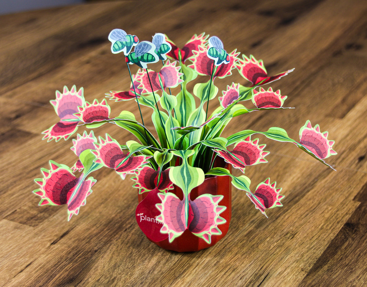 The Venus Fly Trap Artificial Botanical Craft Kit by Plantlike