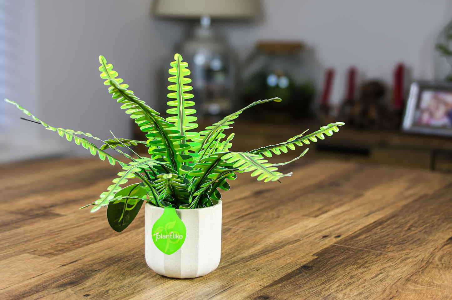 Artificial Boston Fern - Botanical Craft Kit by Plantlike