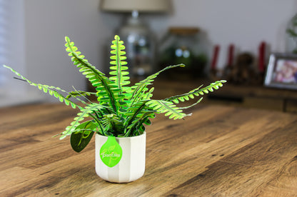 Artificial Boston Fern - Botanical Craft Kit by Plantlike
