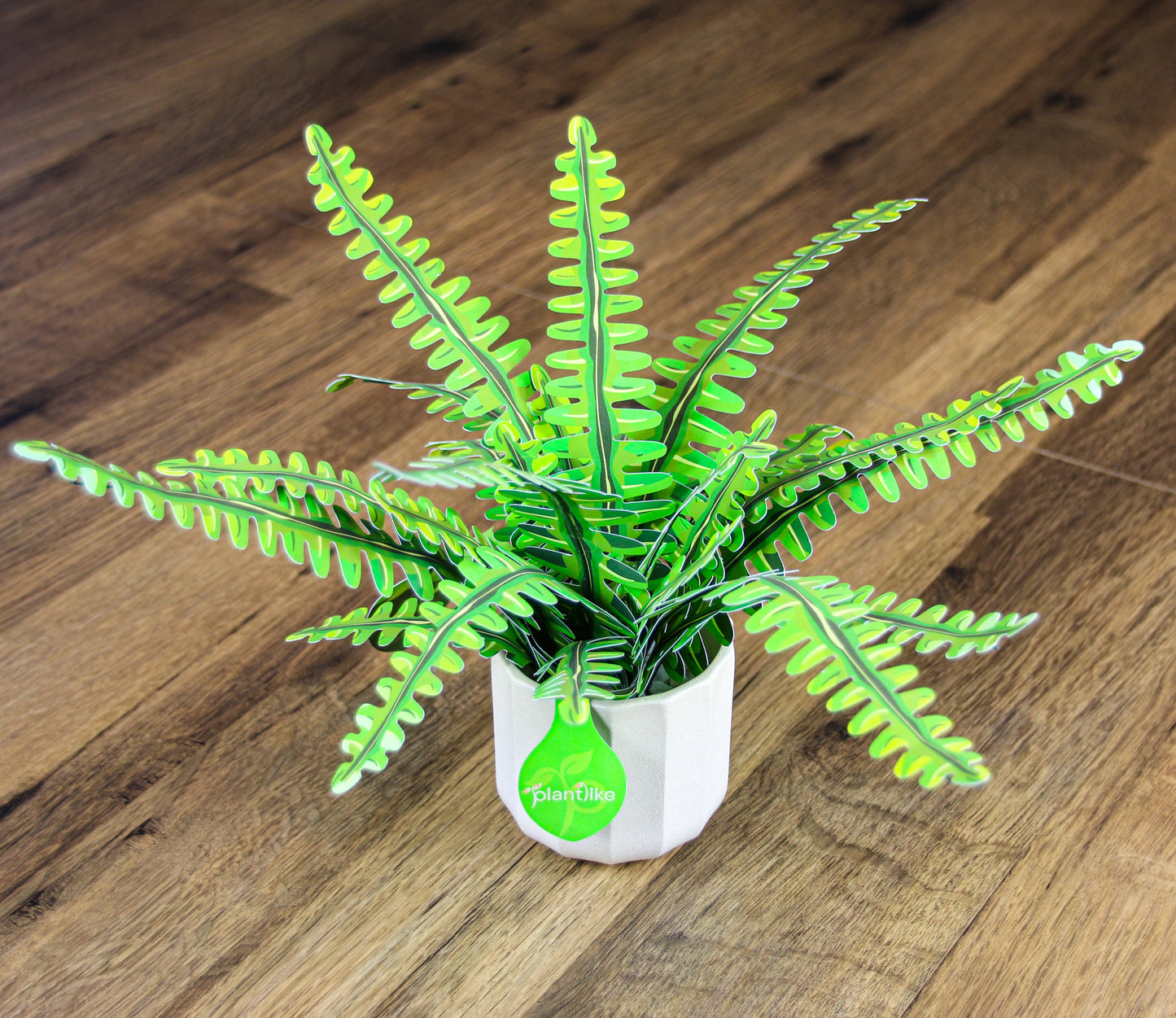 Artificial Boston Fern - Botanical Craft Kit by Plantlike