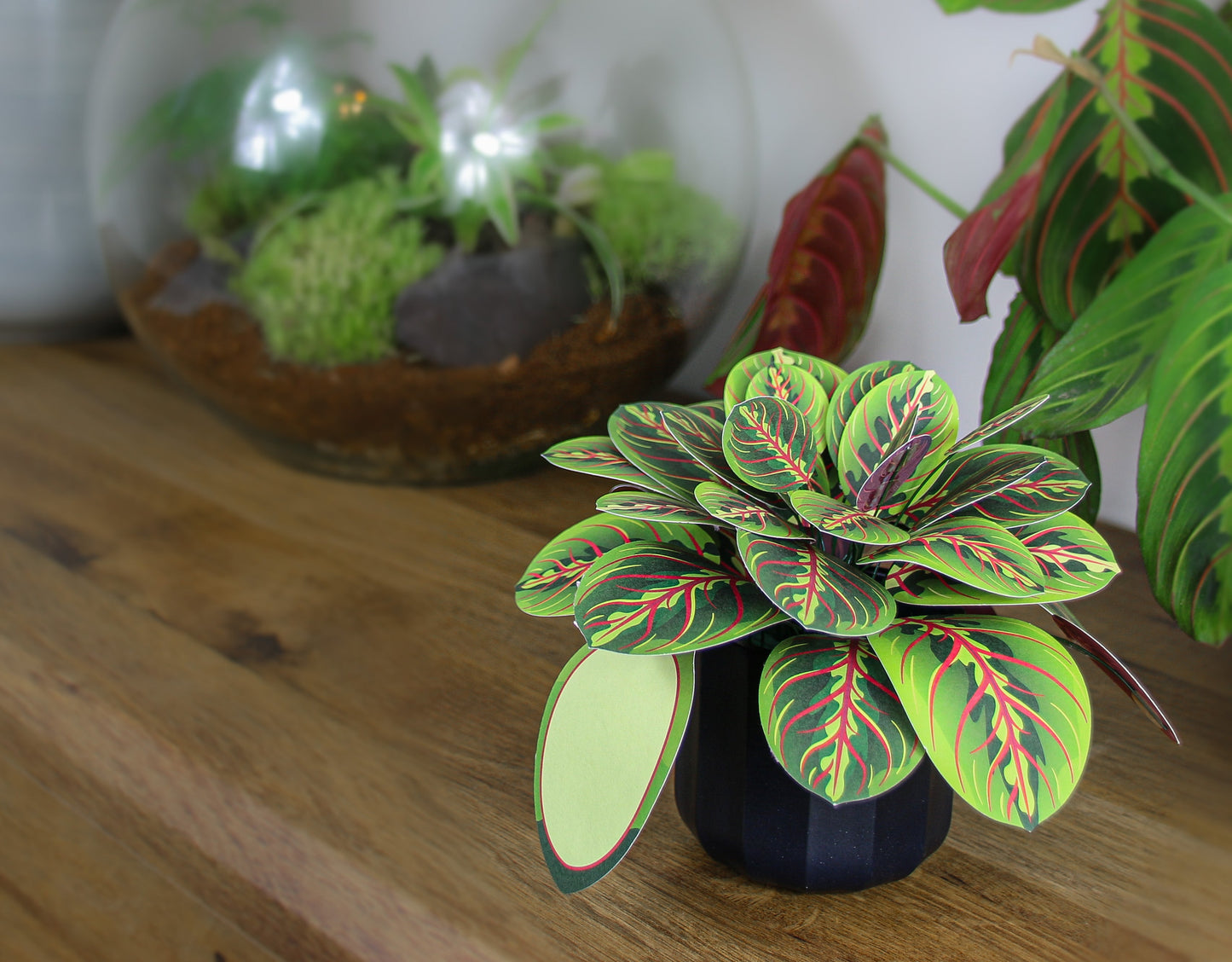 Artificial Prayer Plant — Botanical Craft Kit by Plantlike