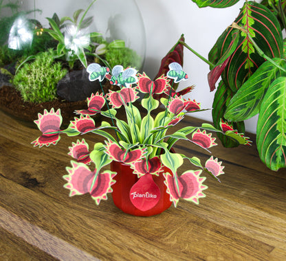 The Venus Fly Trap Artificial Botanical Craft Kit by Plantlike