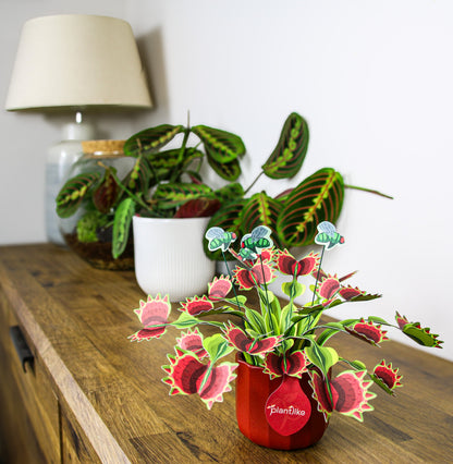 The Venus Fly Trap Artificial Botanical Craft Kit by Plantlike