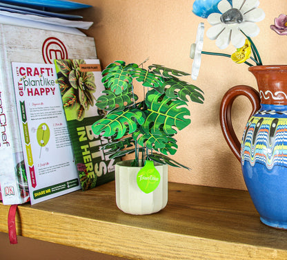 Monstera Deliciosa Cheese Plant Botanical Craft Kit by Plantlike