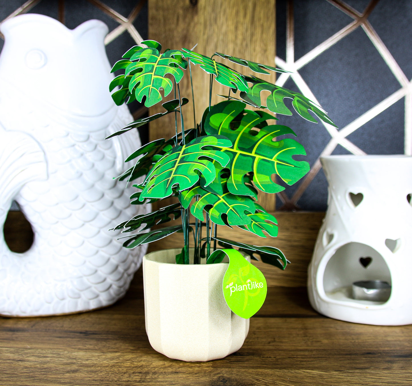 Monstera Deliciosa Cheese Plant Botanical Craft Kit by Plantlike