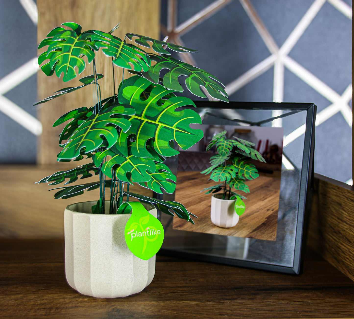 Monstera Deliciosa Cheese Plant Botanical Craft Kit by Plantlike