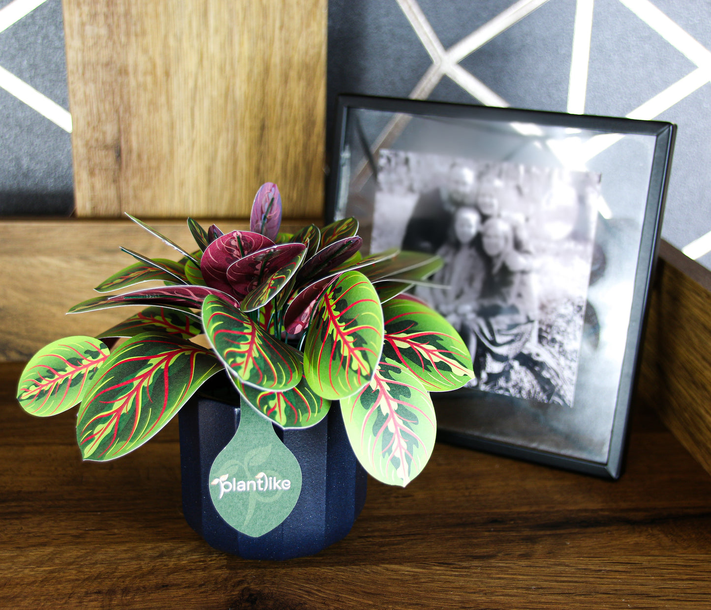 Artificial Prayer Plant — Botanical Craft Kit by Plantlike
