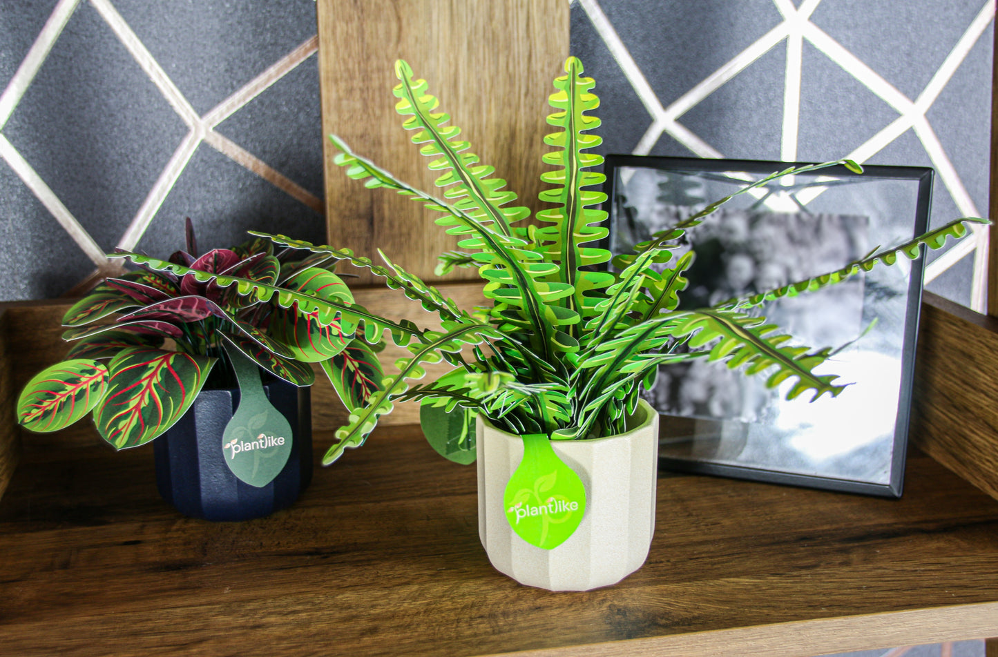 Artificial Boston Fern - Botanical Craft Kit by Plantlike