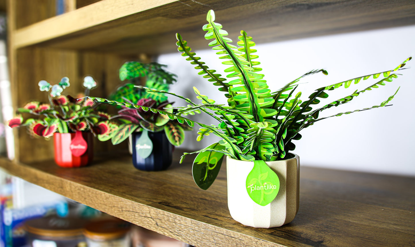 Artificial Boston Fern - Botanical Craft Kit by Plantlike