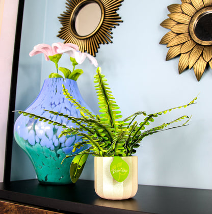Artificial Boston Fern - Botanical Craft Kit by Plantlike