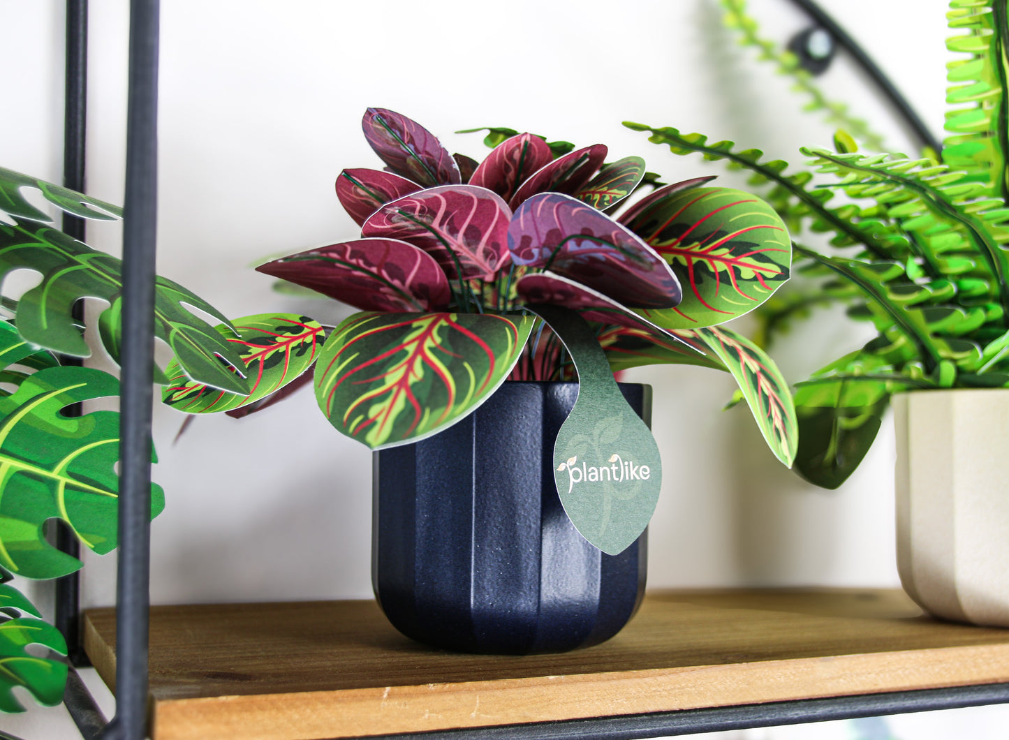 Artificial Prayer Plant — Botanical Craft Kit by Plantlike