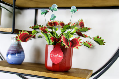The Venus Fly Trap Artificial Botanical Craft Kit by Plantlike