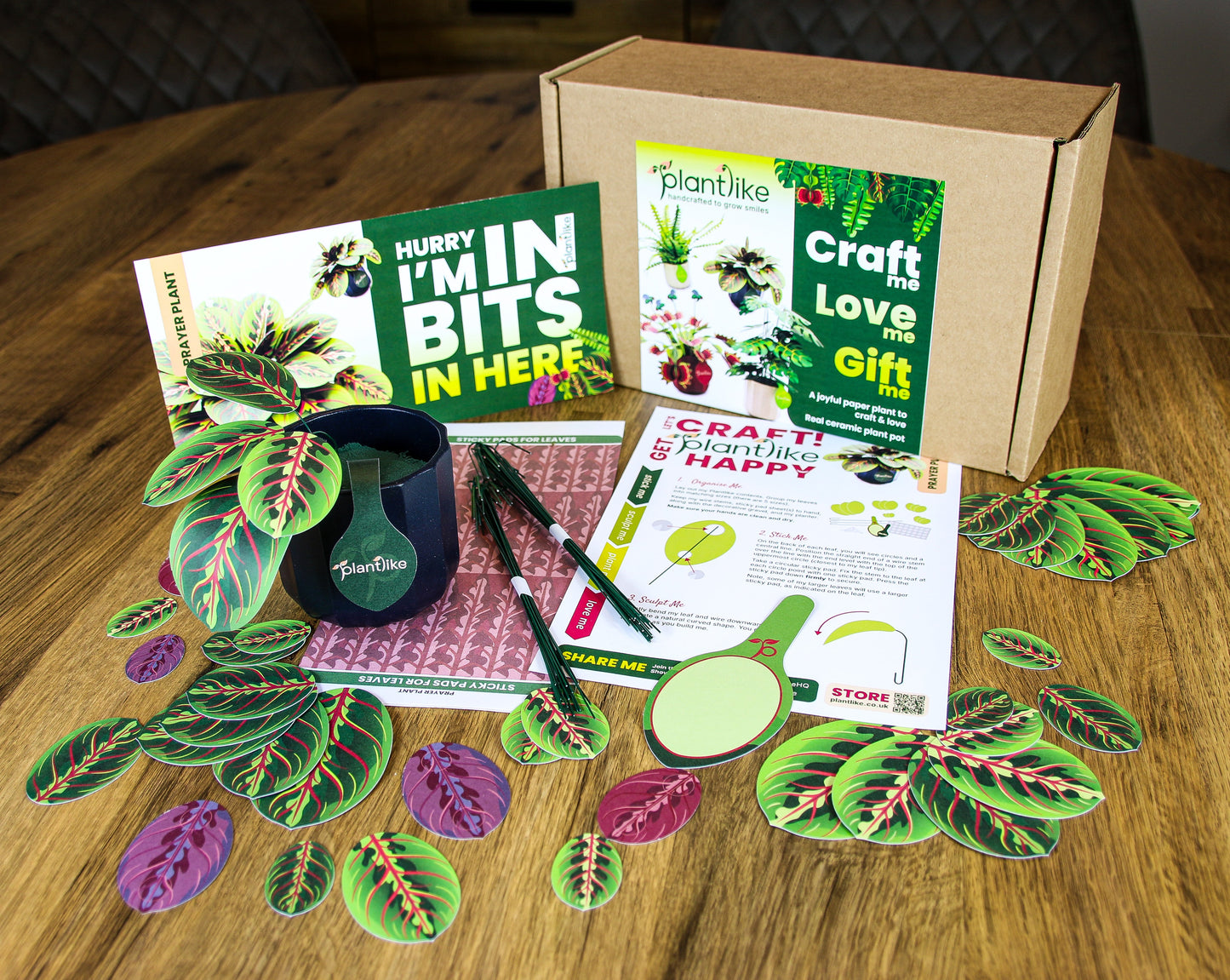 Artificial Prayer Plant — Botanical Craft Kit by Plantlike