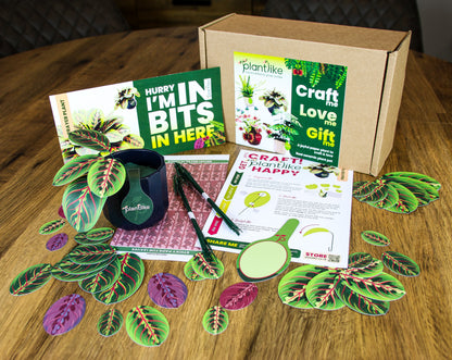 Artificial Prayer Plant — Botanical Craft Kit by Plantlike