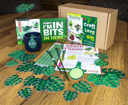 Monstera Deliciosa Cheese Plant Botanical Craft Kit by Plantlike