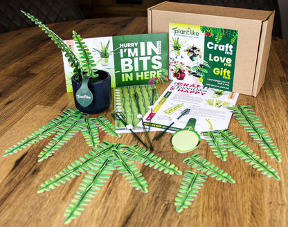 Artificial Boston Fern - Botanical Craft Kit by Plantlike