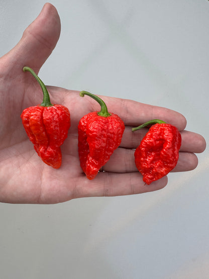 Bhutlah Red Chilli