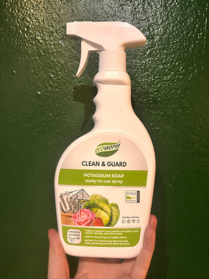 Ecoworm Potassium Soap (Horticultural Soap)
