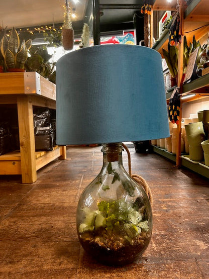 DIY Glass Terrarium Table Lamp