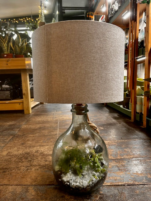 DIY Glass Terrarium Table Lamp