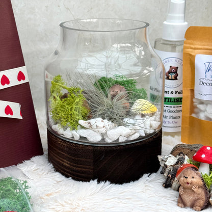 Mystic Wood Air Plant Terrarium