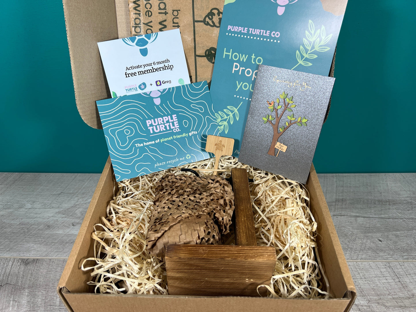 Plant Propagation Gift Set #1