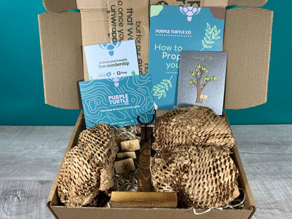 Plant Propagation Gift Set #1