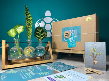 Plant Propagation Gift Set #2