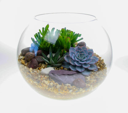 The Oasis - Glass Globe Terrarium - Large