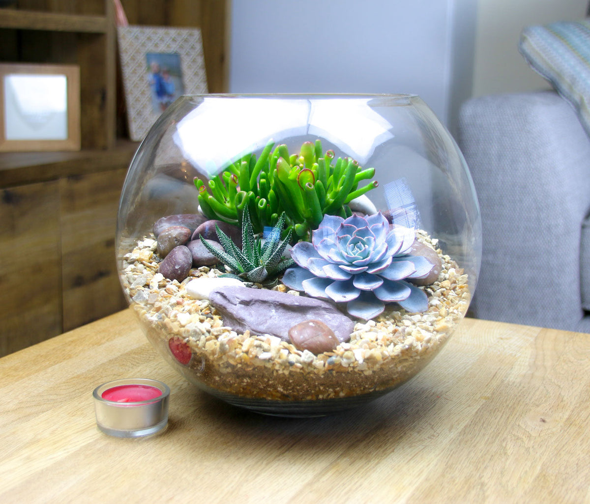 The Oasis - Glass Globe Terrarium - Large