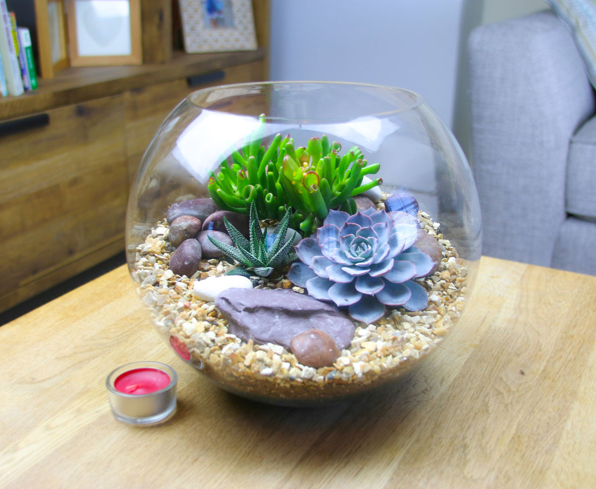 The Oasis - Glass Globe Terrarium - Large