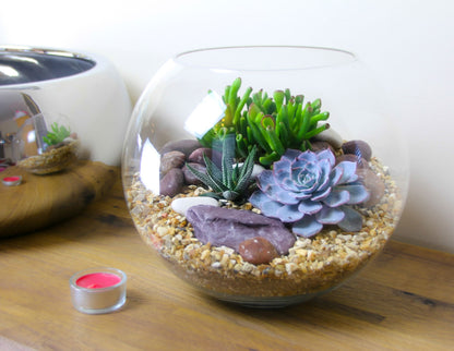 The Oasis - Glass Globe Terrarium - Large
