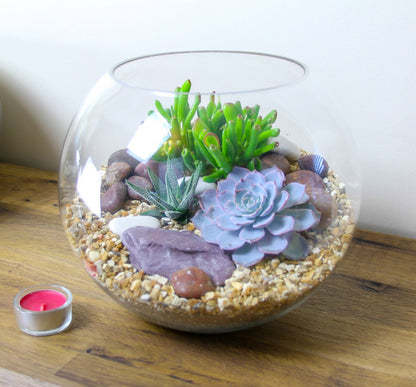 The Oasis - Glass Globe Terrarium - Large