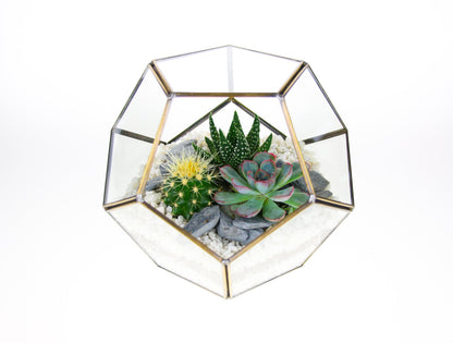 The Geode  - Geometric Terrarium with Cactus & Succulent Mix