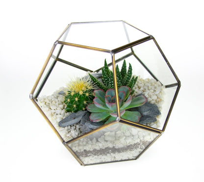 The Geode  - Geometric Terrarium with Cactus & Succulent Mix