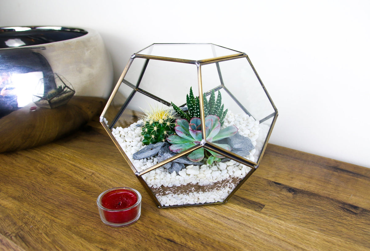 The Geode  - Geometric Terrarium with Cactus & Succulent Mix