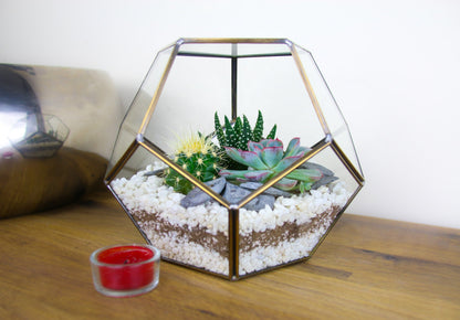 The Geode  - Geometric Terrarium with Cactus & Succulent Mix